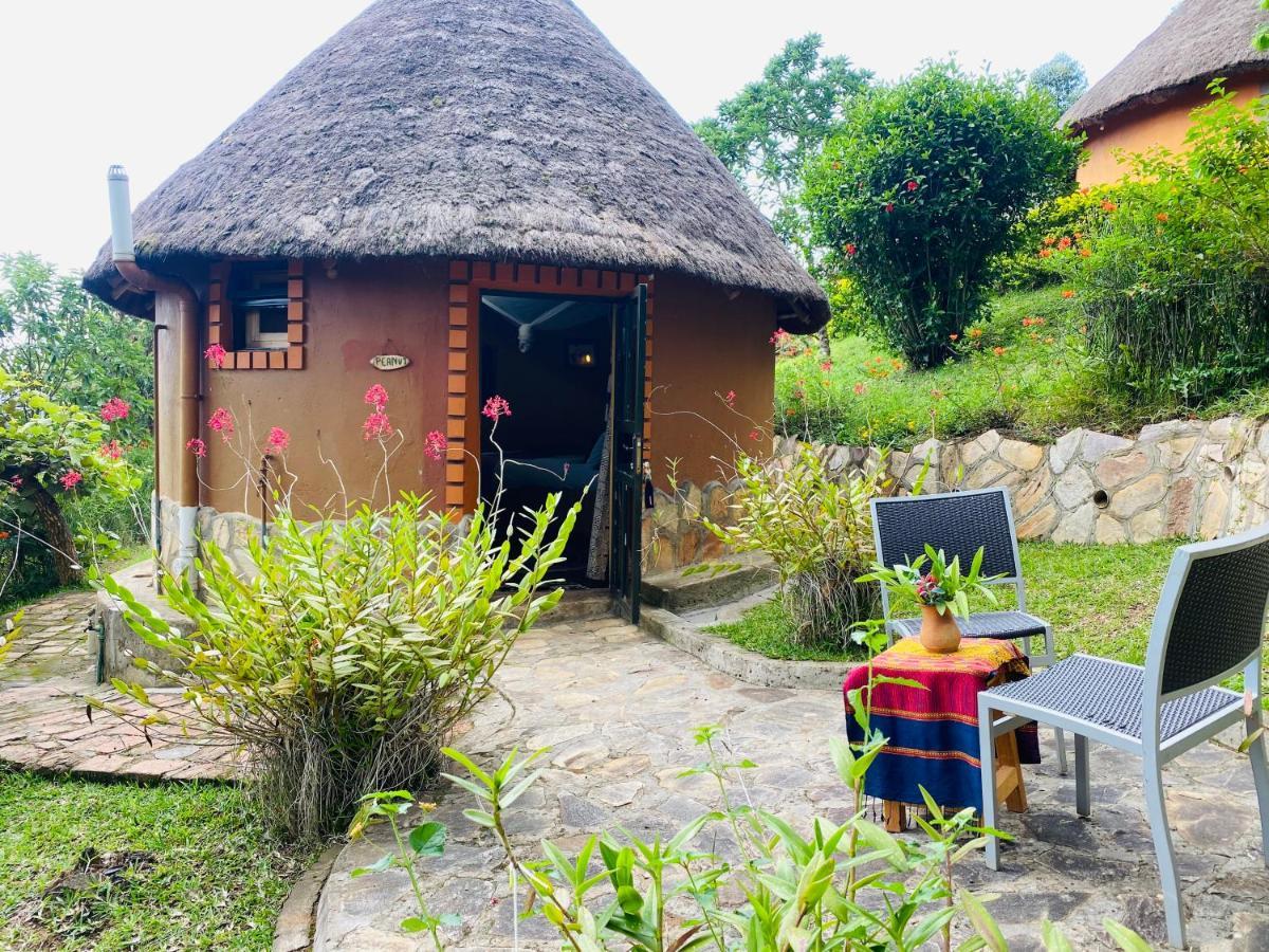 Nyore Hillside Retreat Mbarara Dış mekan fotoğraf
