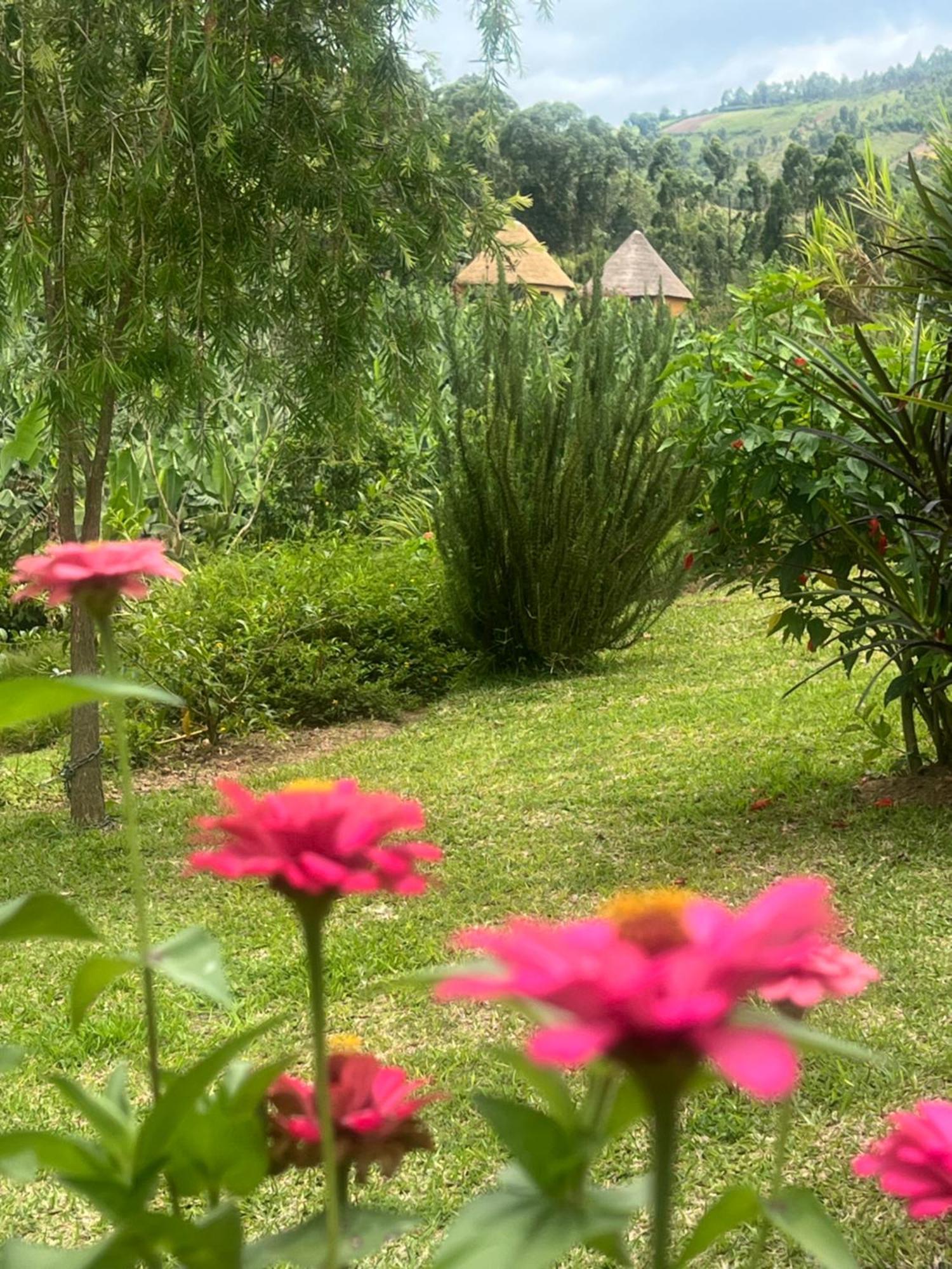 Nyore Hillside Retreat Mbarara Dış mekan fotoğraf