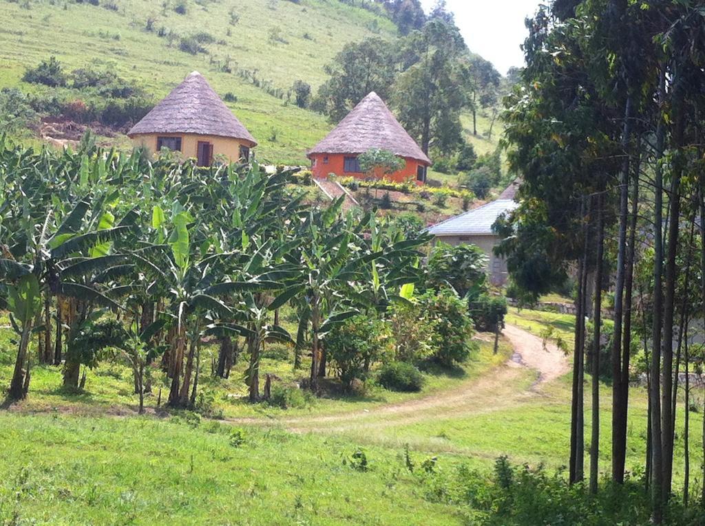 Nyore Hillside Retreat Mbarara Dış mekan fotoğraf