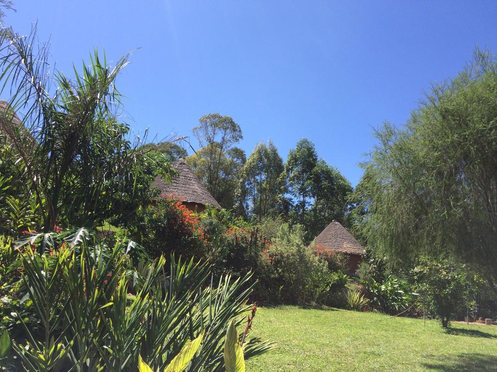 Nyore Hillside Retreat Mbarara Dış mekan fotoğraf