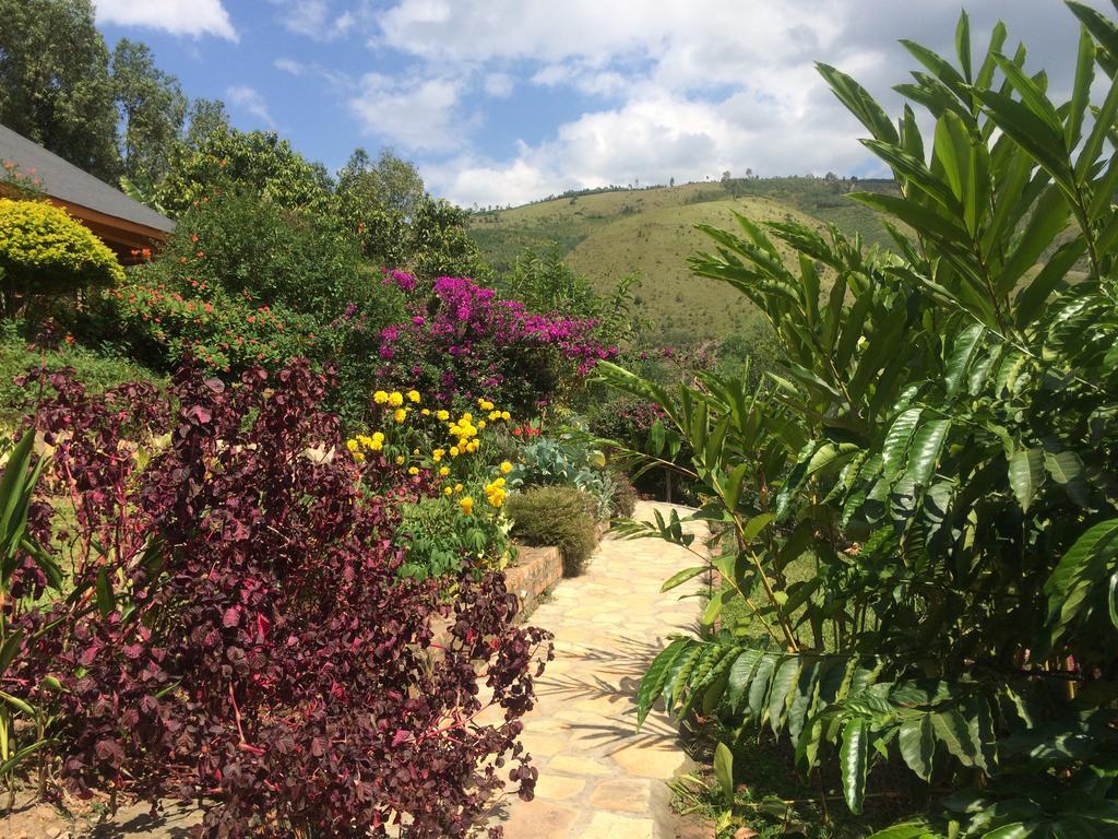 Nyore Hillside Retreat Mbarara Dış mekan fotoğraf