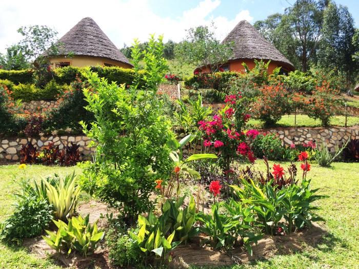 Nyore Hillside Retreat Mbarara Dış mekan fotoğraf
