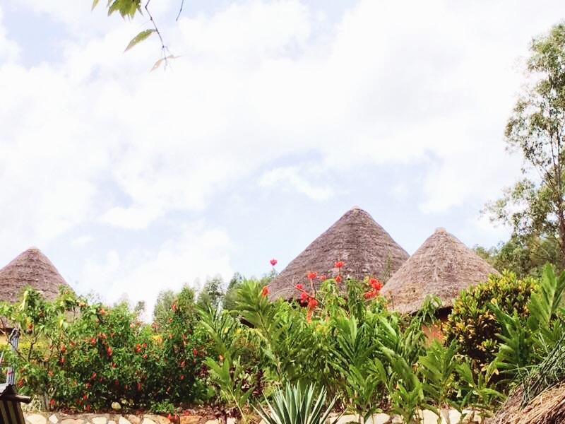 Nyore Hillside Retreat Mbarara Dış mekan fotoğraf