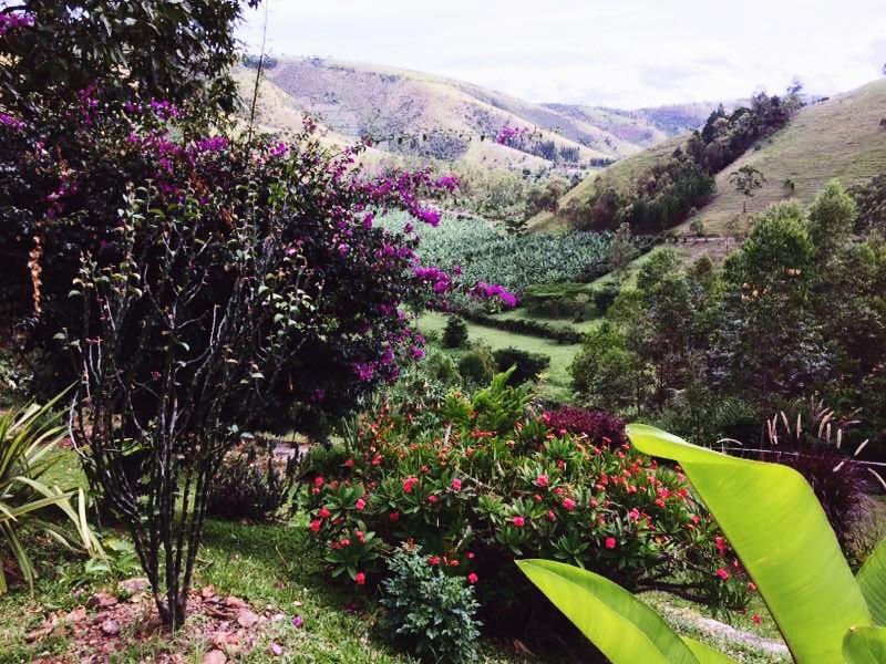 Nyore Hillside Retreat Mbarara Dış mekan fotoğraf