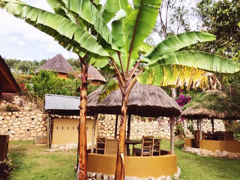 Nyore Hillside Retreat Mbarara Dış mekan fotoğraf