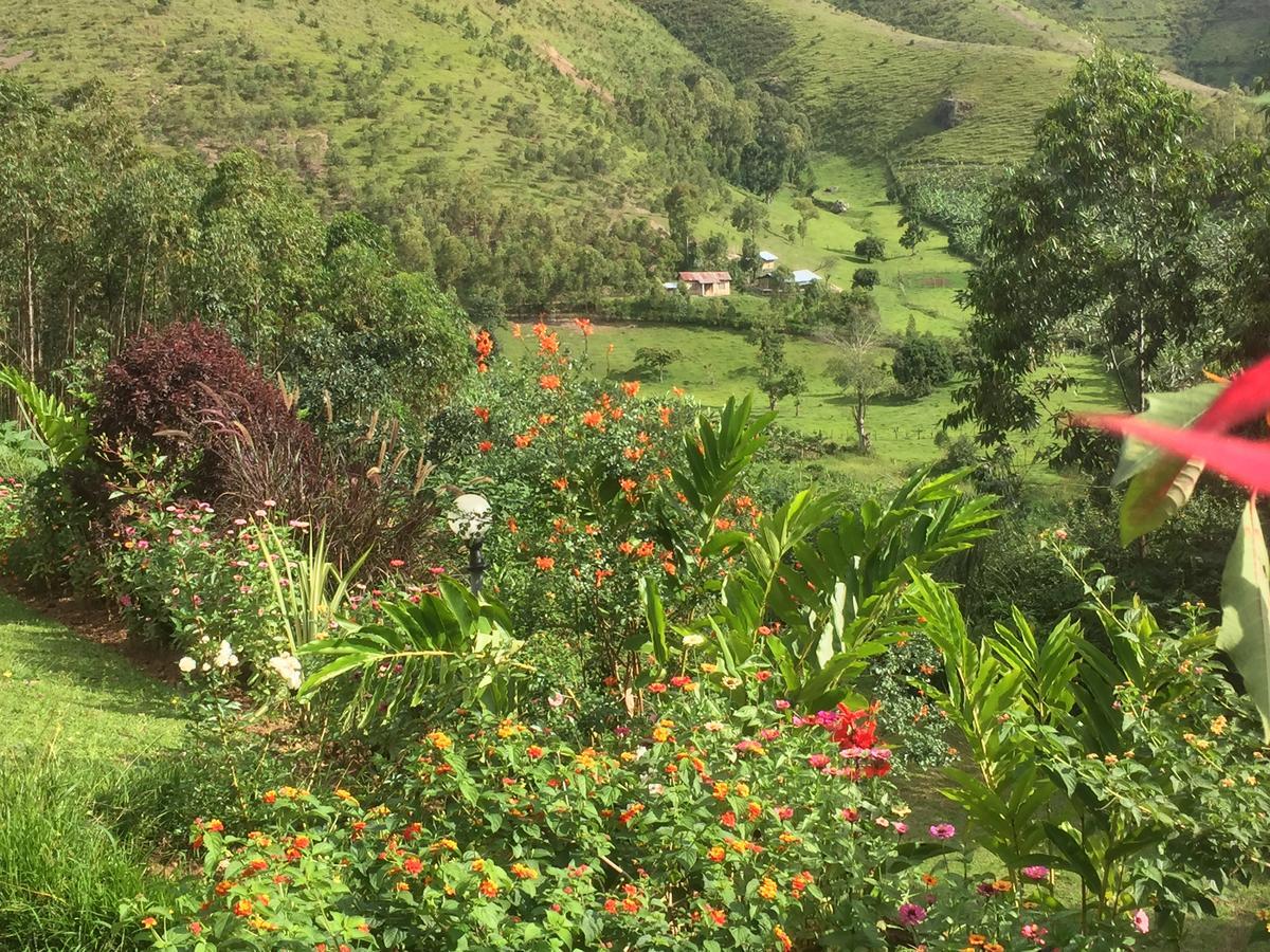 Nyore Hillside Retreat Mbarara Dış mekan fotoğraf